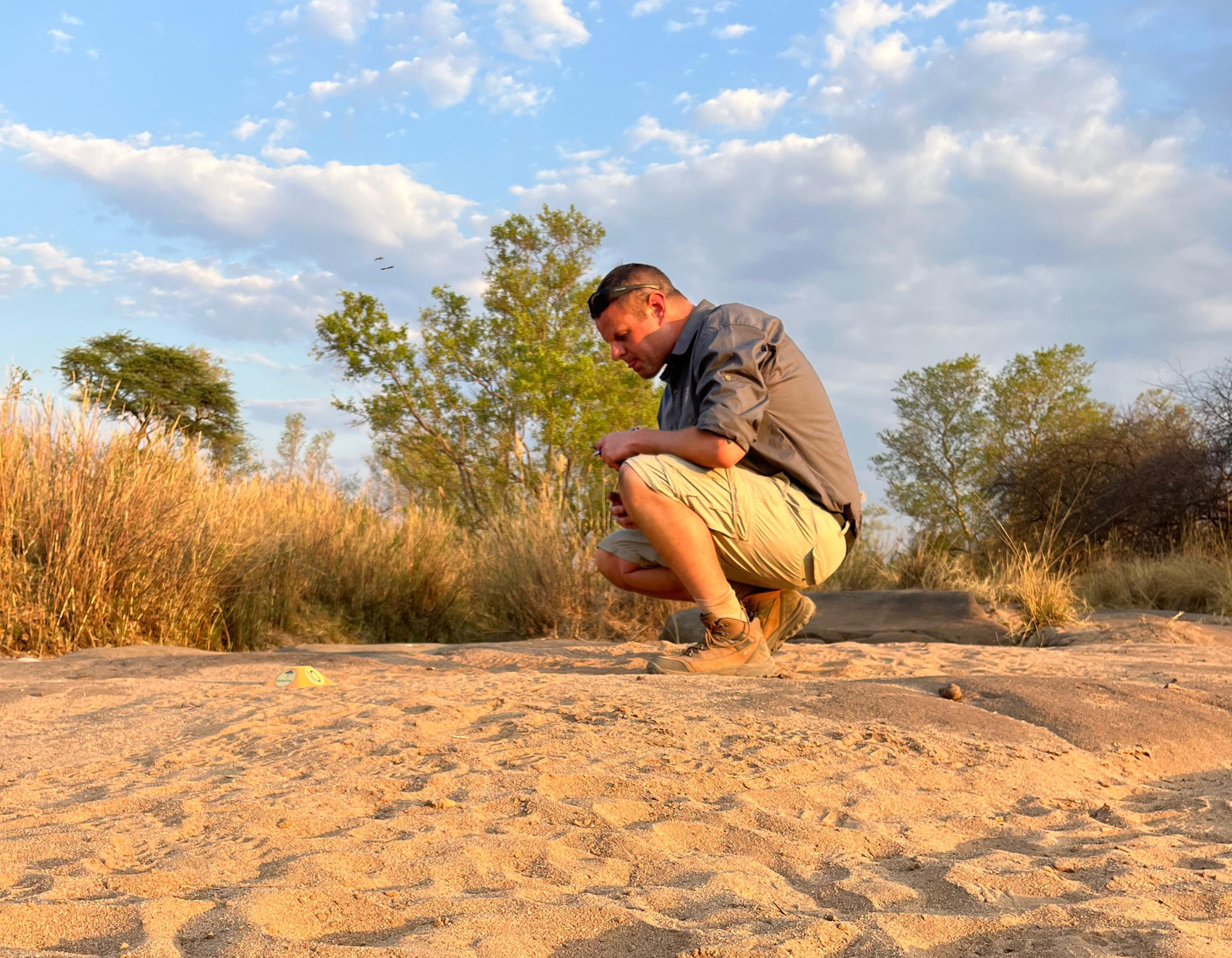 Tracking course for Field Guides