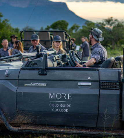 MORE Field Guide Game Drive