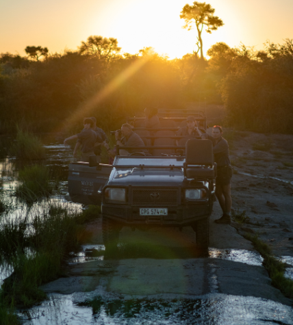 Sunset Drive